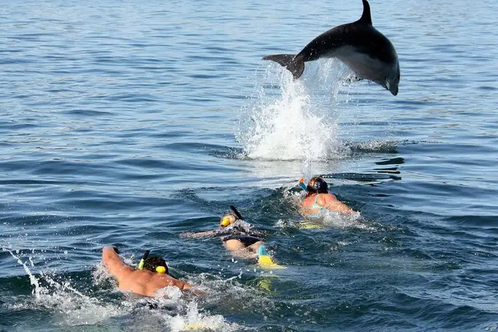 Dolphin Adası Tekne Turu Side: Aile Eğlencesi ve Köpük Partisi