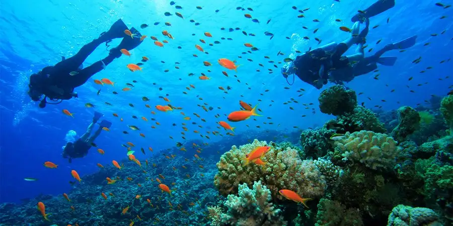 Side'de Dalış: En İyi Side Turları